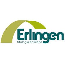 ERLINGEN