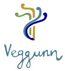 VEGGUNN