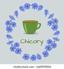 CHYCORYCUP