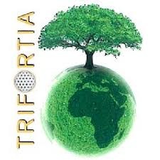 TRIFORTIA